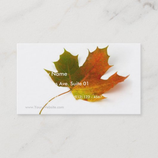 Single Colour Maple Leaf op White Background Visitekaartje (Voorkant)