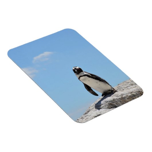 Single Cute Penguin en Blue Sky Magneet (Rechterzijde)