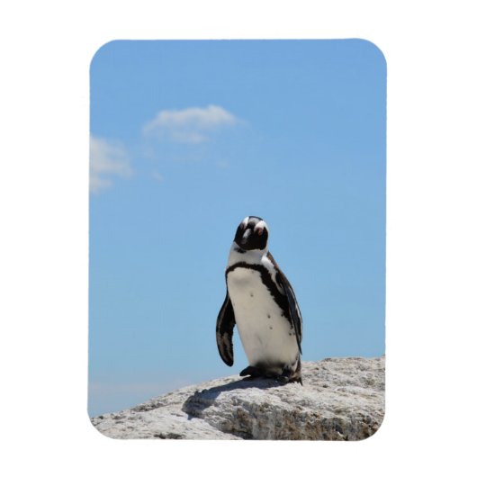 Single Cute Penguin en Blue Sky Magneet (Verticaal)