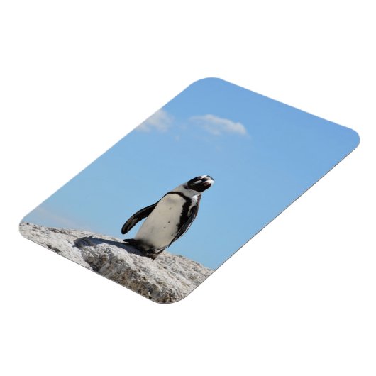 Single Cute Penguin en Blue Sky Magneet (Linkerzijde)