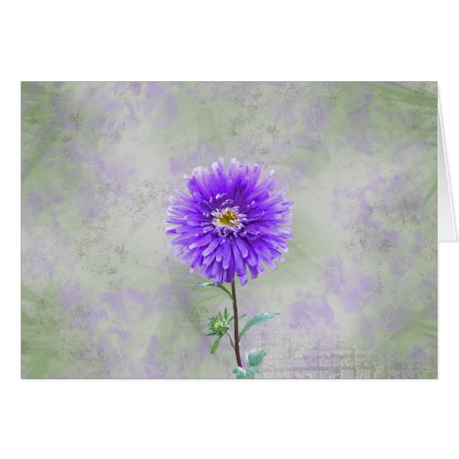 Single Dahlia (Voorkant Horizontaal)