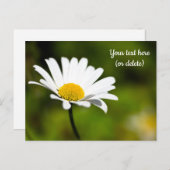 Single Daisy Briefkaart (Voorkant / Achterkant)