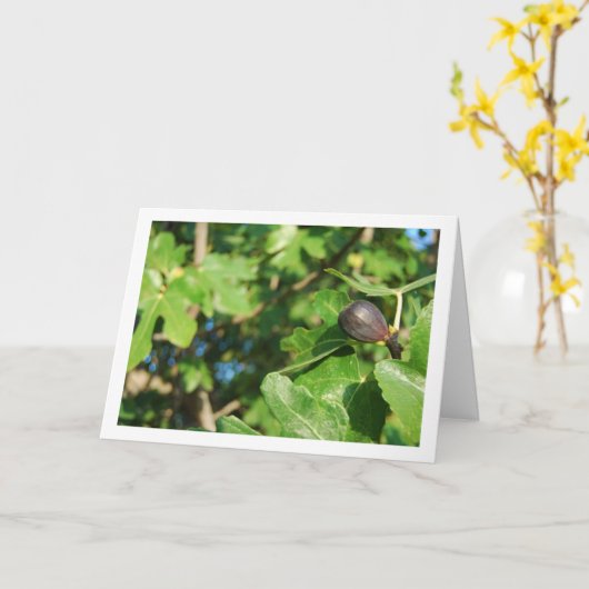 Single Fig in structuurportret Kaart (Gele Bloem)