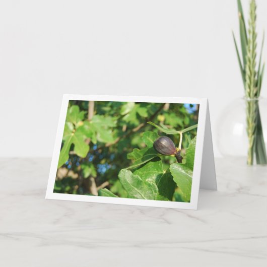 Single Fig in structuurportret Kaart (Voorkant)