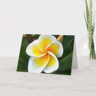 Single Frangipani Blossom Realism Art Kaart