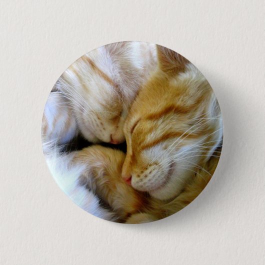 Single Kittens-Button Ronde Button 5,7 Cm (Voorkant)