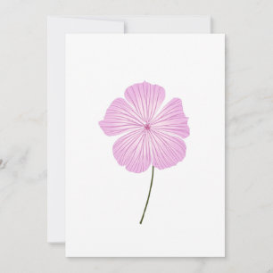 Single Pink Lavatera Kaart