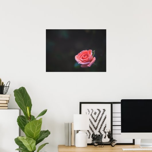 Single Pink Rose with Dew Poster (Thuiskantoor)
