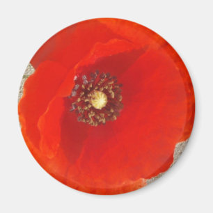 Single Poppy Magneet