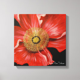 Single Red Poppy Canvas Afdruk