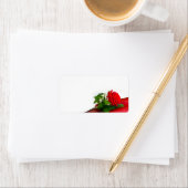 Single Red Rose – Floral White Background Etiket (Insitu)