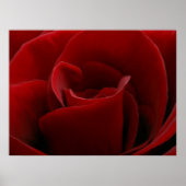 Single Red Rose Print (Voorkant)