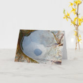 single rock kaart (Gele Bloem)