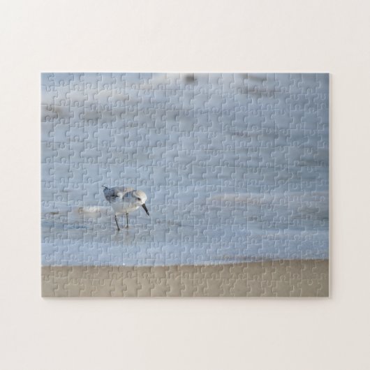 Single Sandpiper walking on beach  Legpuzzel (Horizontaal)