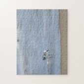 Single Sandpiper walking on beach  Legpuzzel (Verticaal)