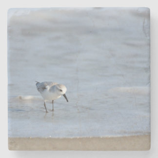 Single Sandpiper walking on beach  Stenen Onderzetter