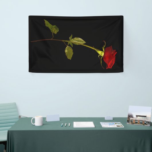 Single Stem-Roos Spandoek (Beurs)