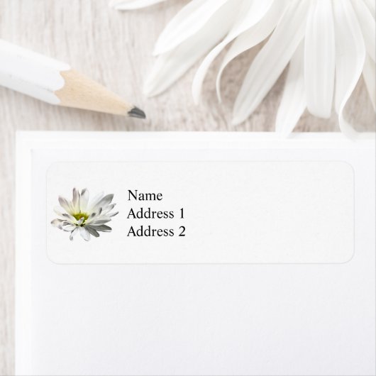 Single White Daisy Etiket (Insitu)