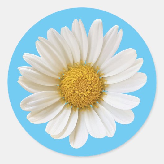 Single White Daisy on Sky Blue Ronde Sticker (Voorkant)