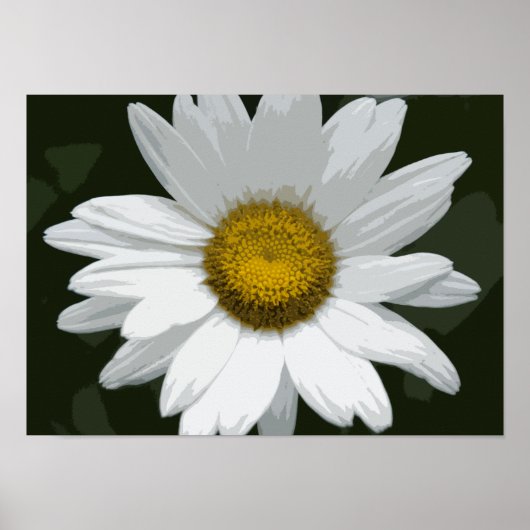 Single White Daisy Poster (Voorkant)