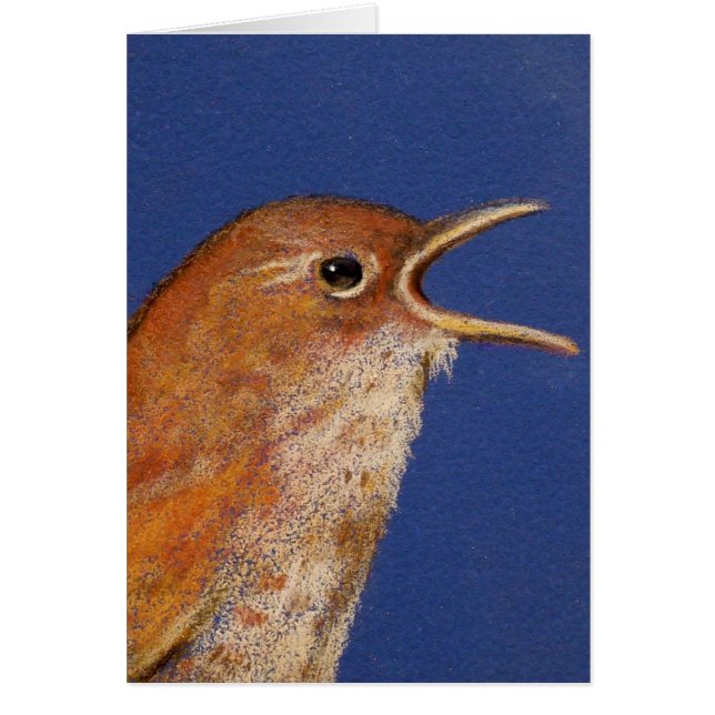 SINGWREN (Voorkant)
