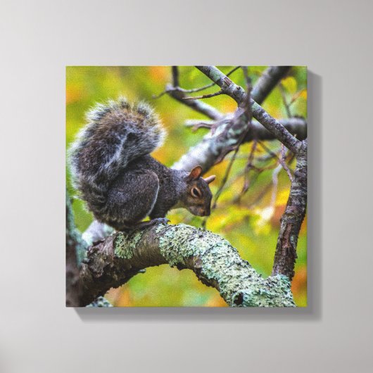 SINISTER SQUIRREL WRAPPED CANVAS PRINT (Voorkant)