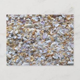 Sint Augustinus Beach Sand Tiny Shells Briefkaart