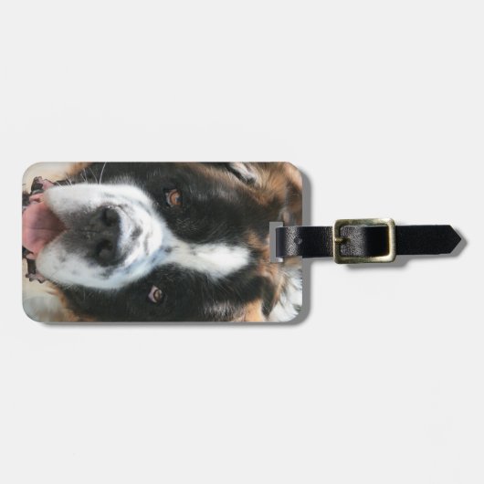 Sint Bernard Bagagelabel (Voorkant horizontaal)