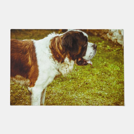 Sint-Bernard. Deurmat (Voorkant)