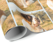 Sint-Bernard-hondenafval Cadeaupapier (Rol Hoek)