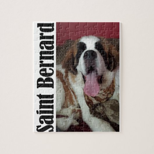 Sint-Bernard Legpuzzel (Verticaal)
