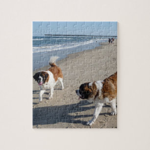 Sint-Bernard op de strandpuzzel Legpuzzel