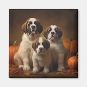 Sint Bernard Puppy Herfst Verrukking Pompoen Magneet (Voorkant)