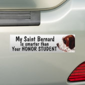 Sint Bernard slimmer dan een eersteklas student -  Bumpersticker (Op auto)