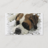 Sint Bernard Visitekaartje (Achterkant)