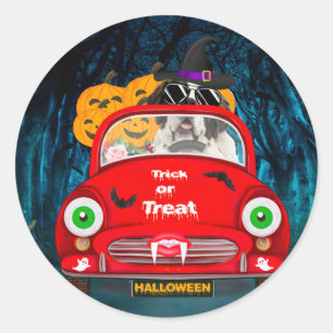 Sint-Bernardhond rijdt auto griezelige Halloween Ronde Sticker