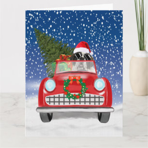 Sint-Bernardhond rijdt auto in sneeuw Kerstmis Kaart