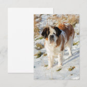 Sint-Bernardhondenportret Bedankkaart (Voorkant / Achterkant)