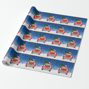 Sint-Bernardshond Rijdt Auto In Sneeuw Kerstmis Th Cadeaupapier