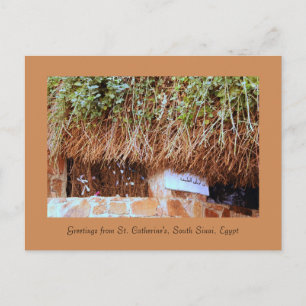 Sint-Catherine's klooster, Zuid-Sinaï, Egypte Briefkaart