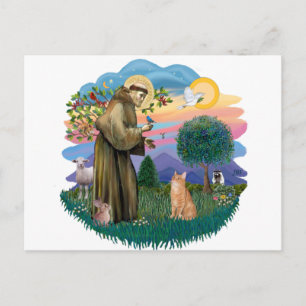 Sint Franciscus (ff) - oranje tabby kat Briefkaart