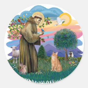 Sint Franciscus (ff) - oranje tabby kat Ronde Sticker