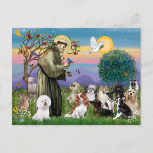 Sint Franciscus met 10 honden Briefkaart