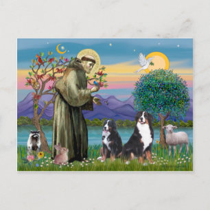 Sint Franciscus - Twee Berner Sennenhonden Briefkaart