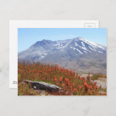 Sint-Helens Wildbloemen Briefkaart (Voorkant / Achterkant)