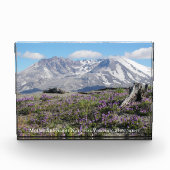 Sint-Helens Wildbloemen fotoblok (Voorkant)