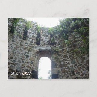 Sint-janskruid Briefkaart