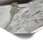 Sint Maarten-St. Martin Poster Print (Hoek)