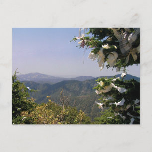 Sint-Mary's troontoorbergen Cyprus briefkaart