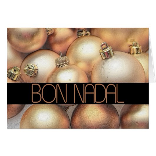 sint - nan catalaanse kerst (Voorkant Horizontaal)